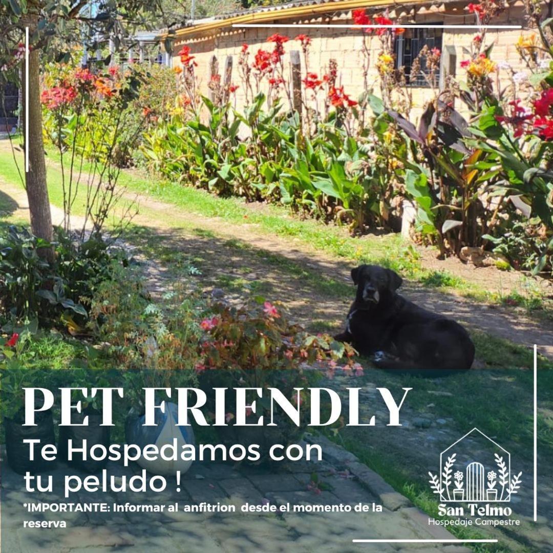 Apartment Aparta Estudio Campestre